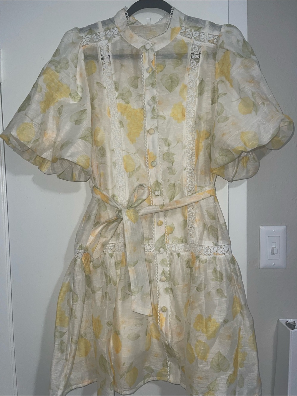 French Collar Single Breasted Puff Sleeve Lace up Cinched Short Dress Large